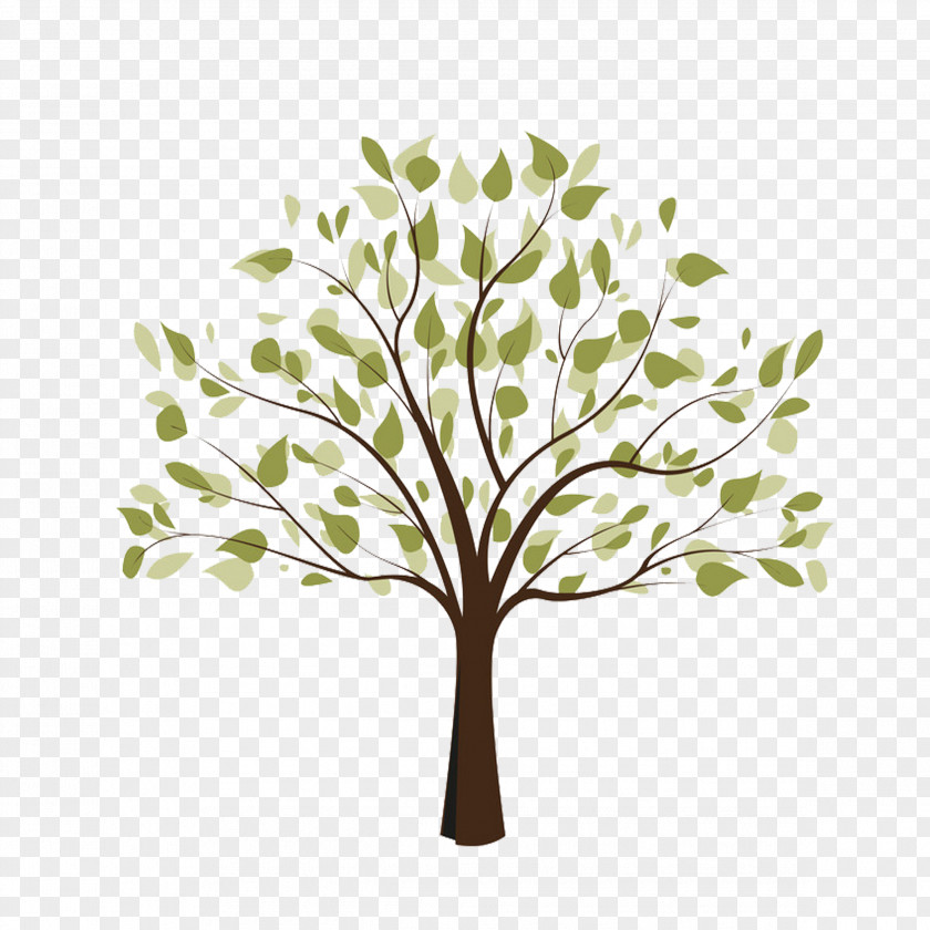 Cartoon Trees Tree Of Life Free Content Clip Art PNG