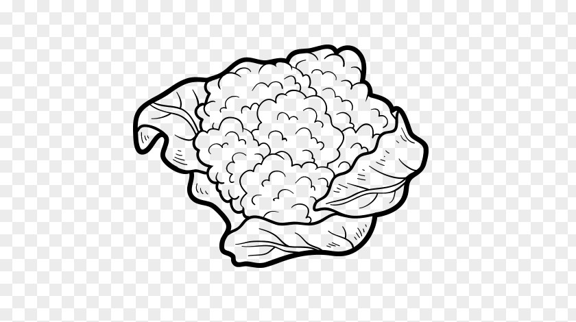 Cauliflower Drawing Vegetable Broccoli Coloring Book PNG