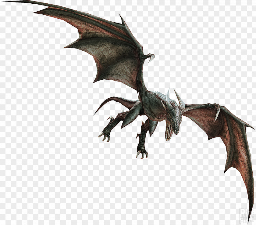 Dragon Divinity II Xbox 360 Wyvern Video Game PNG