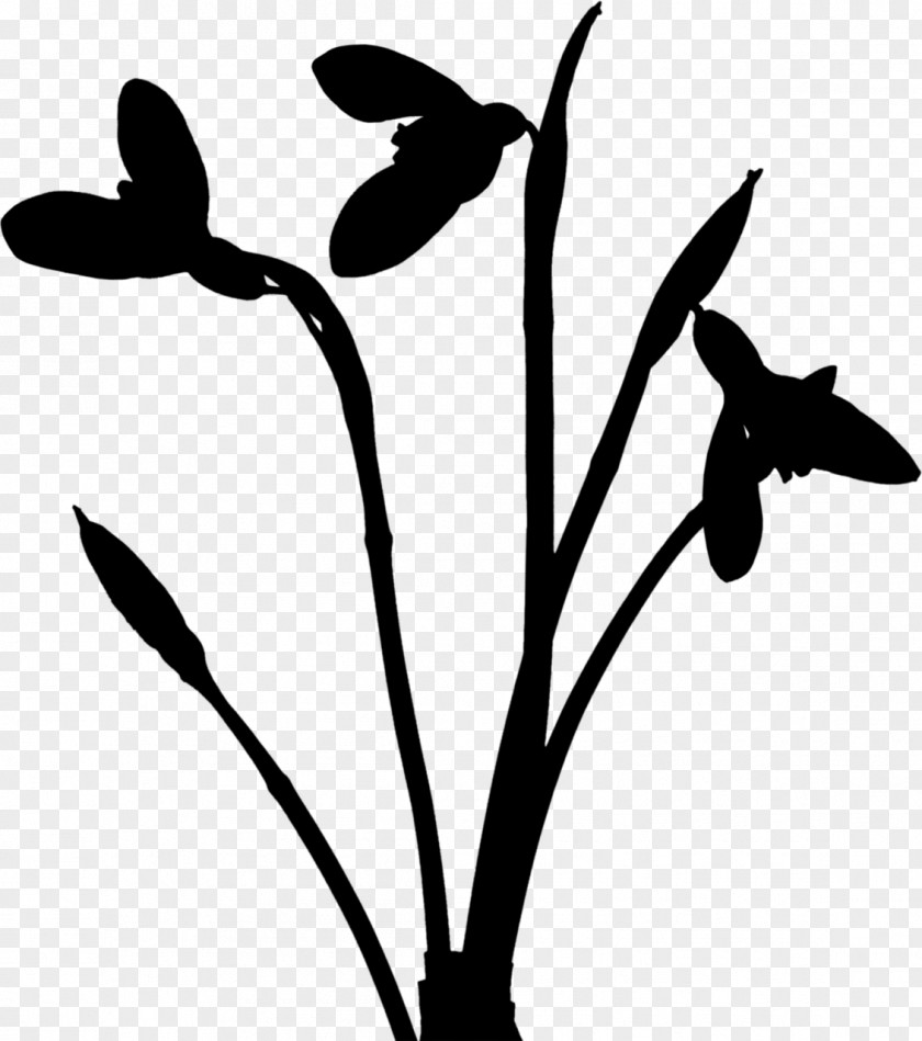 Twig Plant Stem Clip Art Flower Leaf PNG
