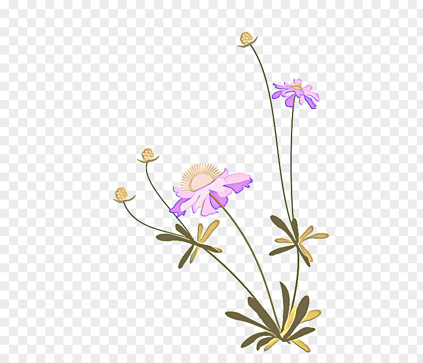 Wild Cranesbill Japanese Anemone Flower Flowering Plant Petal Pedicel PNG
