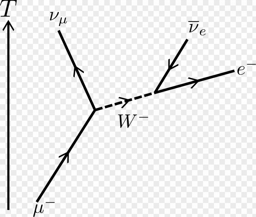 Caries Muon Feynman Diagram Lepton Subatomic Particle PNG
