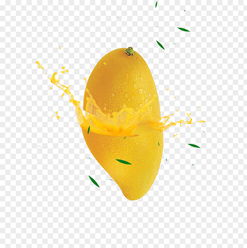 Hainan Mango Merchants Poster Lemon Orange Peel Citric Acid Yellow PNG