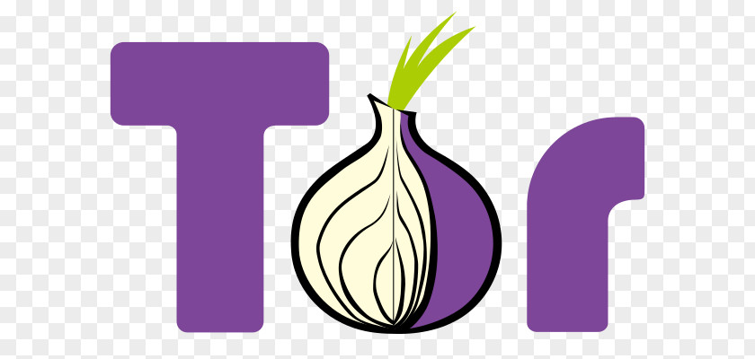 Onion Tor Routing Router .onion Anonymity PNG