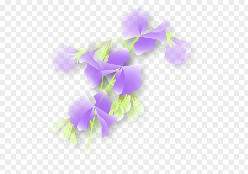 Pea Sweet Purple Plant Stem Violet PNG