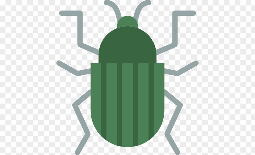 Beetle Clip Art PNG