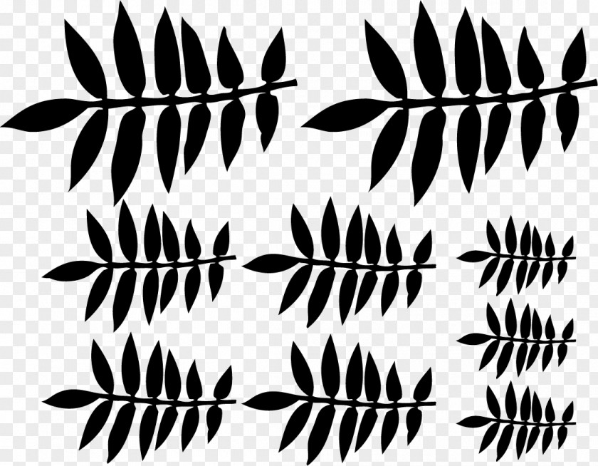 Lima Twig Wall Decal Sticker PNG