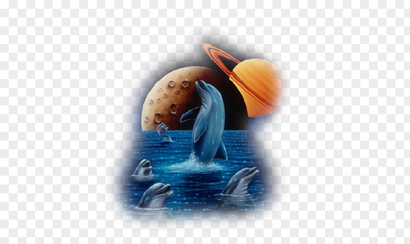 Aquatic Animals Animation Dolphin Printmaking PNG