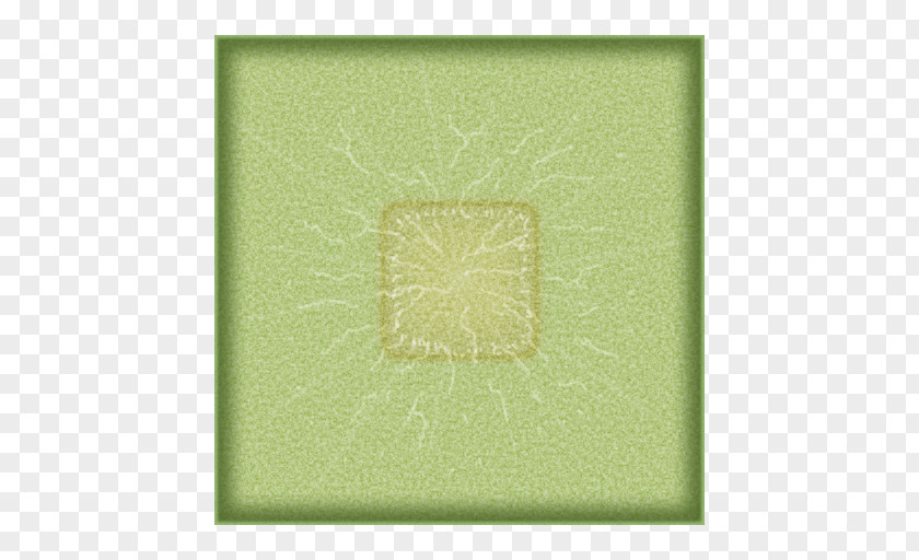 Cactus Top View Green Rectangle Pattern PNG