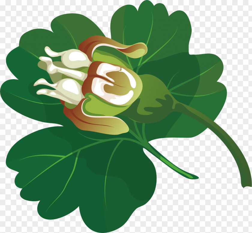 Green Leaves And Flowers Bones Euclidean Vector Download Clip Art PNG