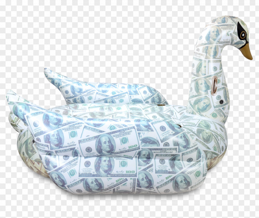 Hundred Dollar Bills Duck Cygnini Swimming Pool Inflatable Anatidae PNG