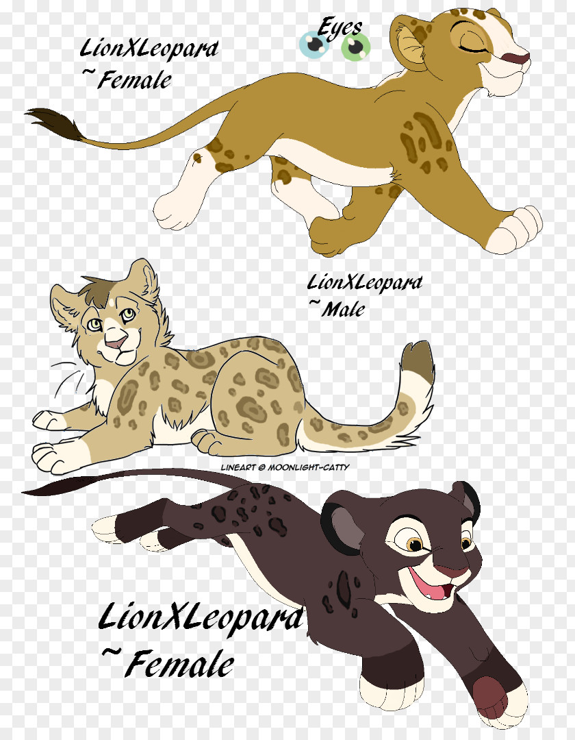 Leopard Cub Lion Tiger Puma Clip Art PNG
