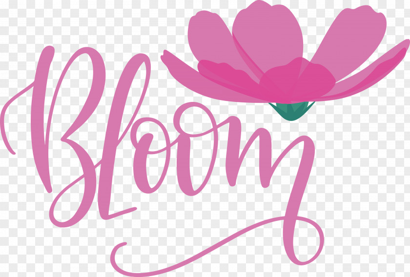 Bloom Spring PNG