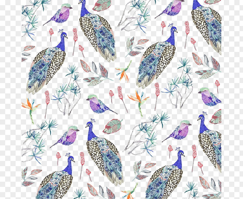 Cartoon Peacock Background Bird Pattern PNG