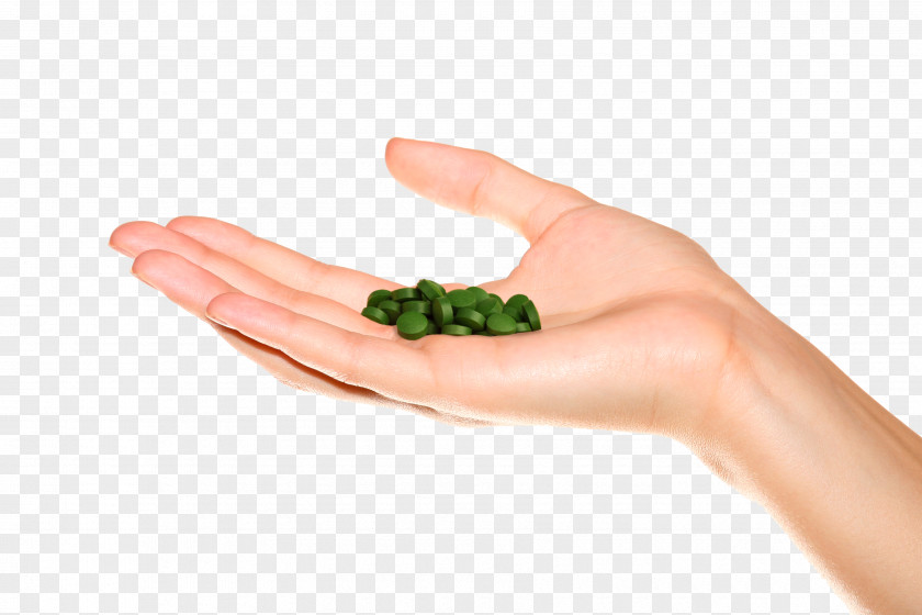 Chlorella Pyrenoidosa Algae Food Hand Model Thumb PNG