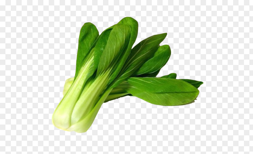 Choy Sum Cruciferous Vegetables Chard Vegetable Spring Greens Lettuce PNG