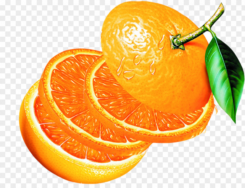Orange Clementine Mandarin Tangelo Citrus Junos Bitter PNG