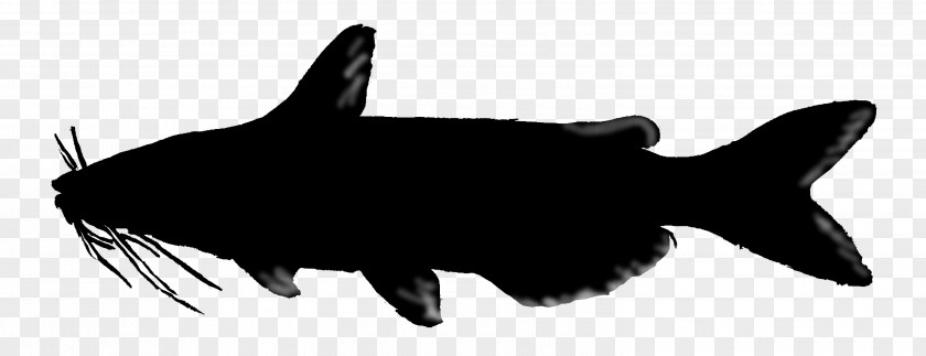 Shark Marine Mammal Fauna Snout Silhouette PNG
