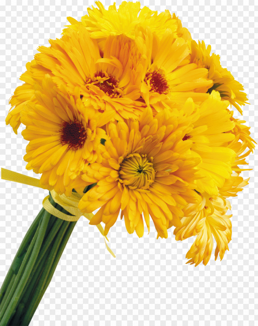 Small Yellow Flowers Cut Color PNG
