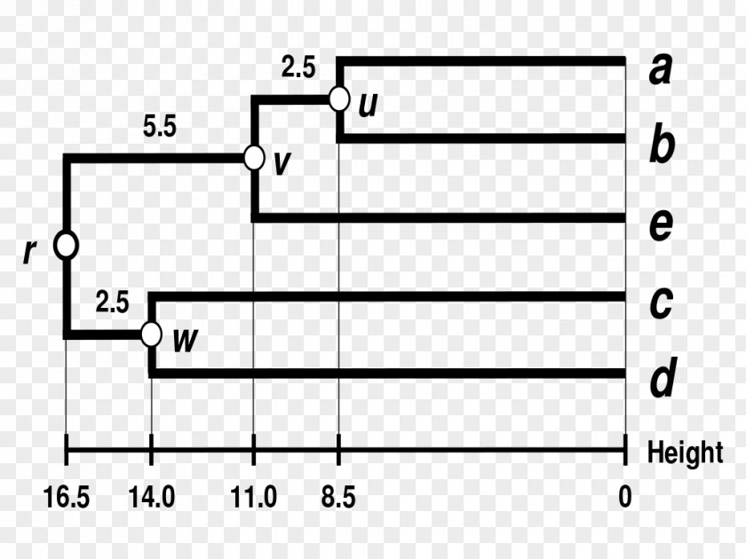 Tree UPGMA Dendrogram Phylogenetics Neighbor Joining Phylogenetic PNG