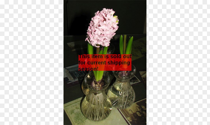 Vase Floral Design Artificial Flower Flowering Plant PNG