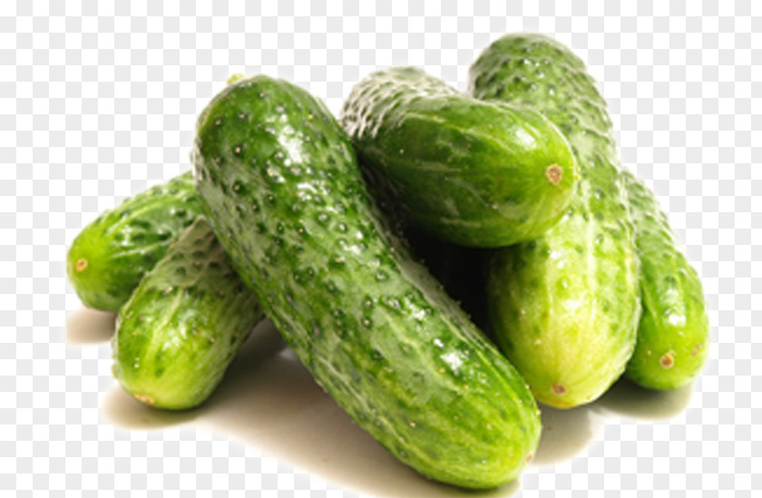 Cucumber Clip Art PNG