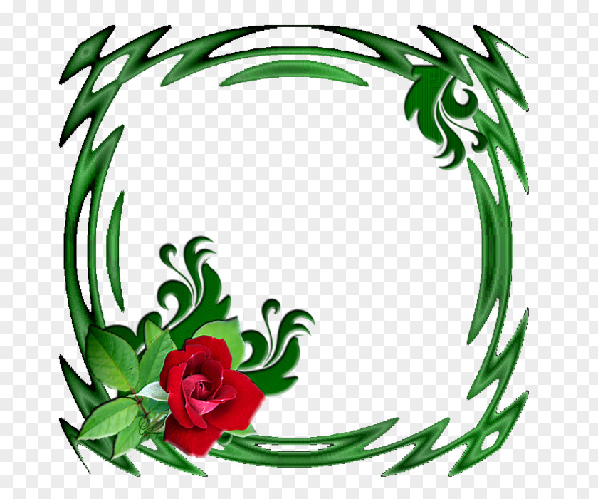 Flower Floral Design Cut Flowers Green PNG