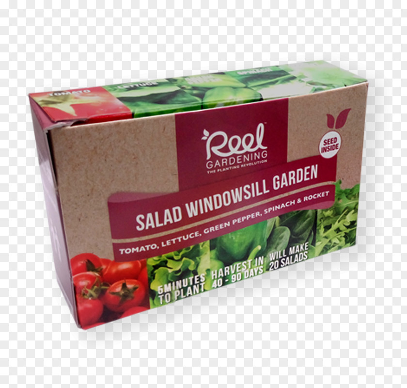 Garden Salad Windowsill Gardening Kitchen Back PNG