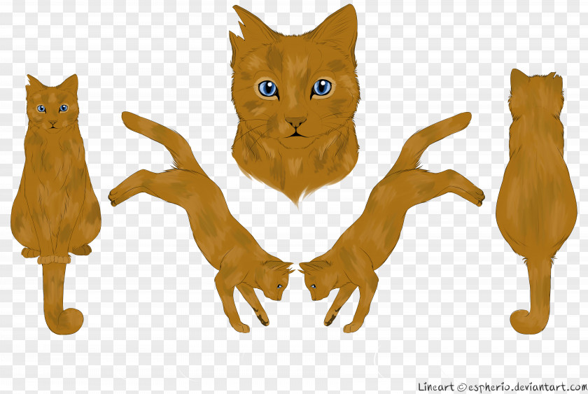 Kitten Whiskers Cats Of The Clans Warriors PNG