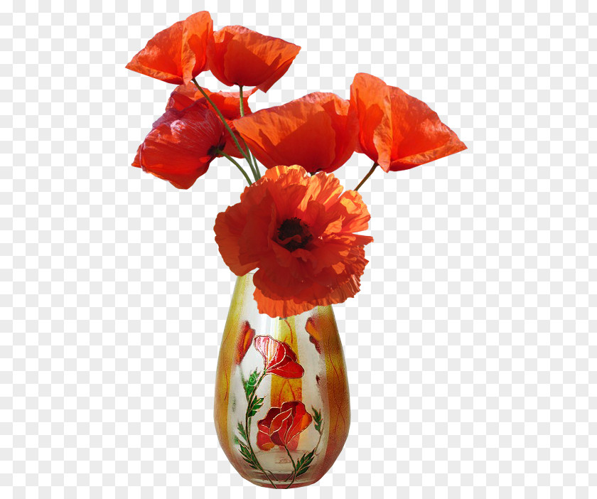 Wildflower Oriental Poppy Flowers Background PNG