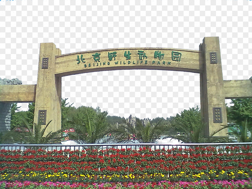 Beijing Tourism Wildlife Park Zoo PNG