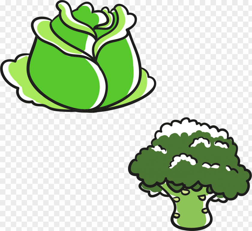 Cartoon Vegetables Cabbage Broccoli Leaf Vegetable PNG