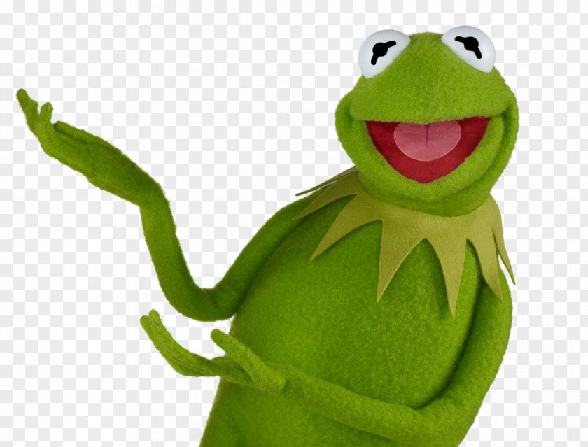 Frog Kermit The YouTube Muppets PNG