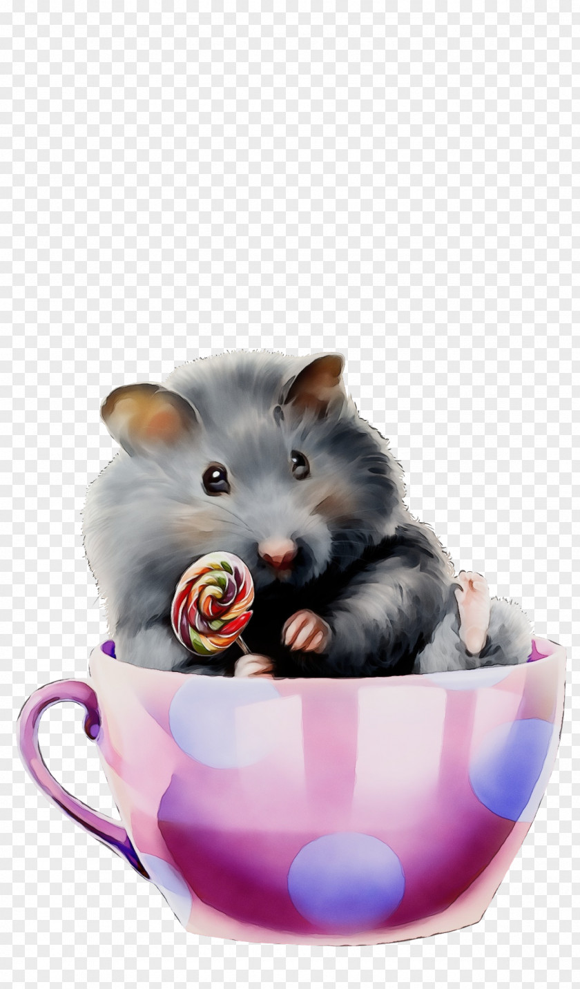 Hamster PNG