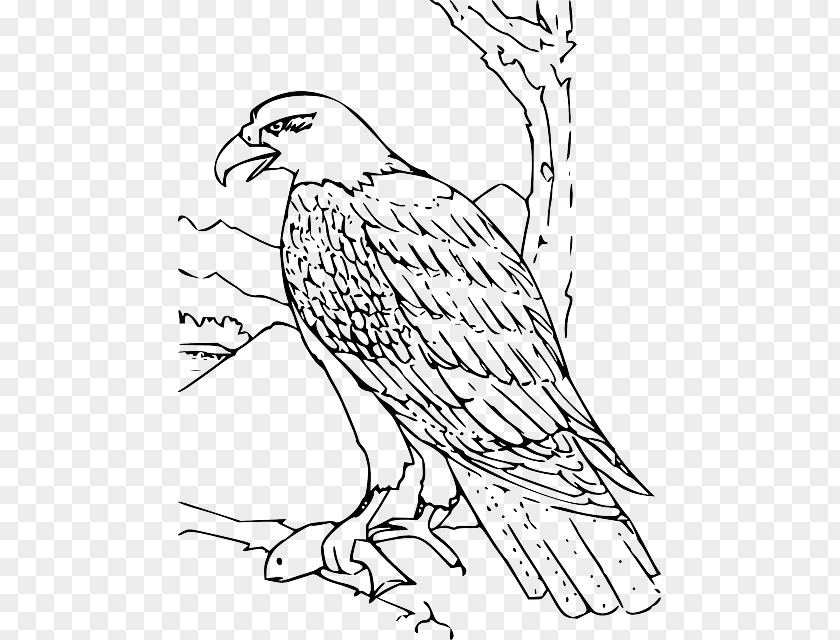 Hand-painted Dog Bald Eagle Coloring Book Drawing PNG