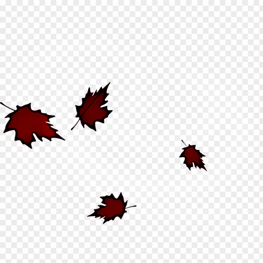 Maple Plant Leaf PNG