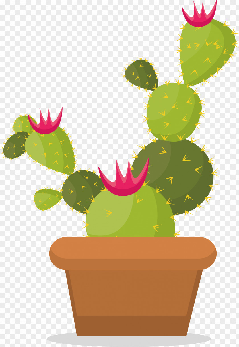 Prickly Cactus Cactaceae Euclidean Vector Thorns, Spines, And Prickles PNG