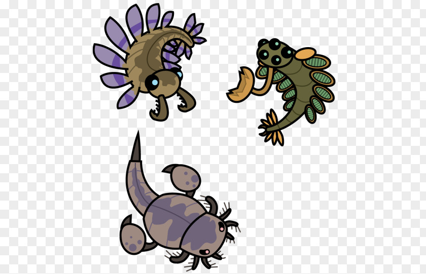 Scorpion Burgess Shale Insect Clip Art Eurypterid PNG