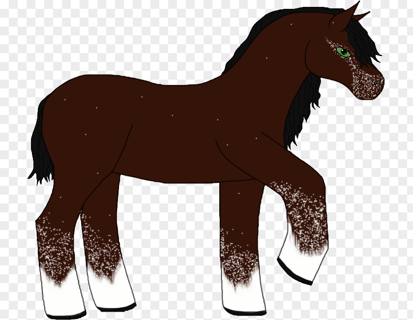 Aurora Borealis Wallpapers X Mustang Foal Stallion Colt Mare PNG