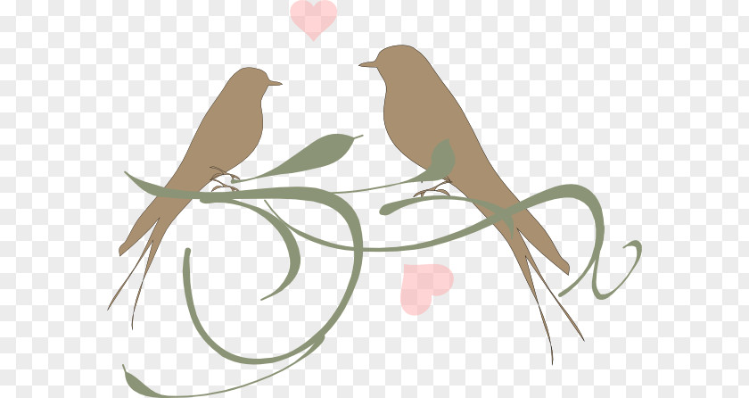 Birds-wedding Lovebird Owl Clip Art PNG