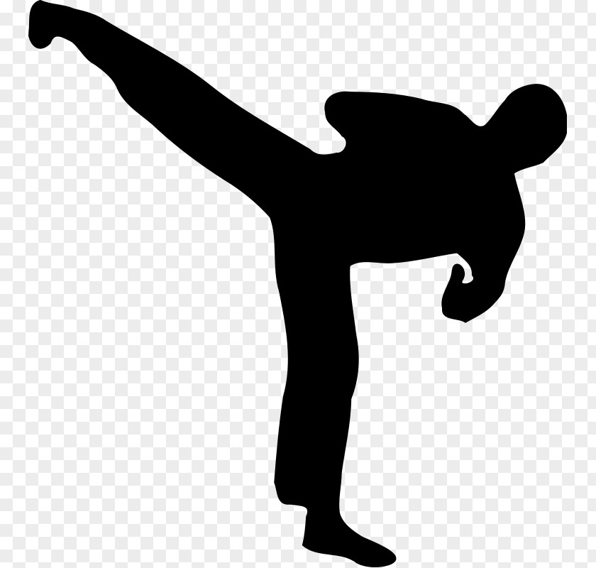 Silhouette Kickboxing Clip Art PNG