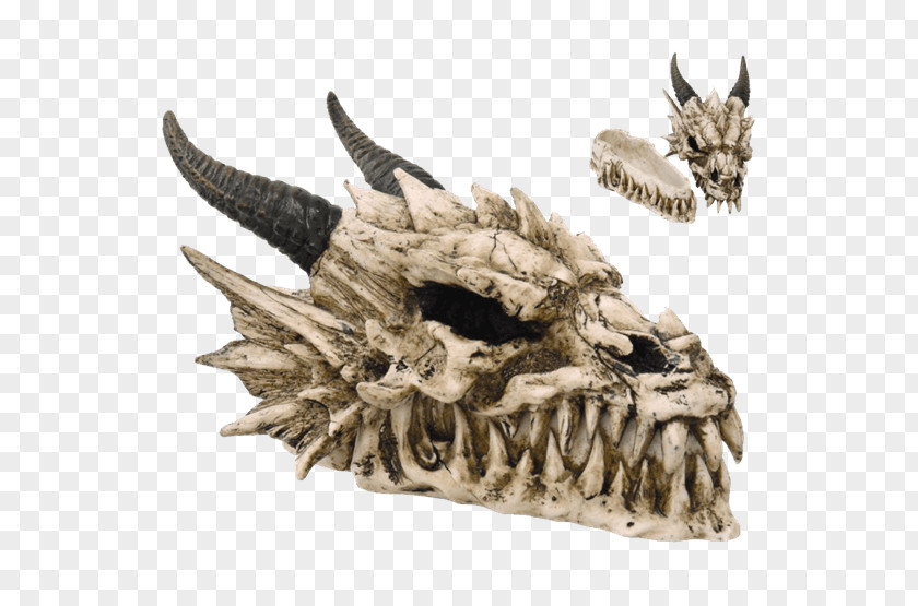Skull Dragon Skeleton Head Statue PNG
