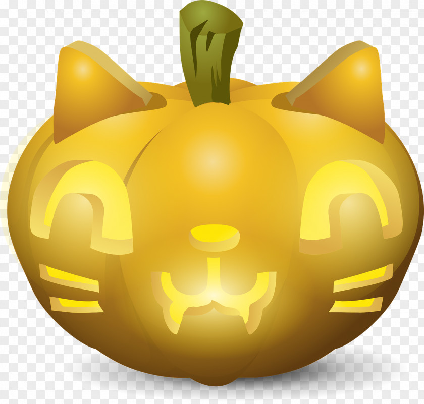 Trick Or Treat Cat Calabaza Pumpkin Cucurbita Halloween PNG