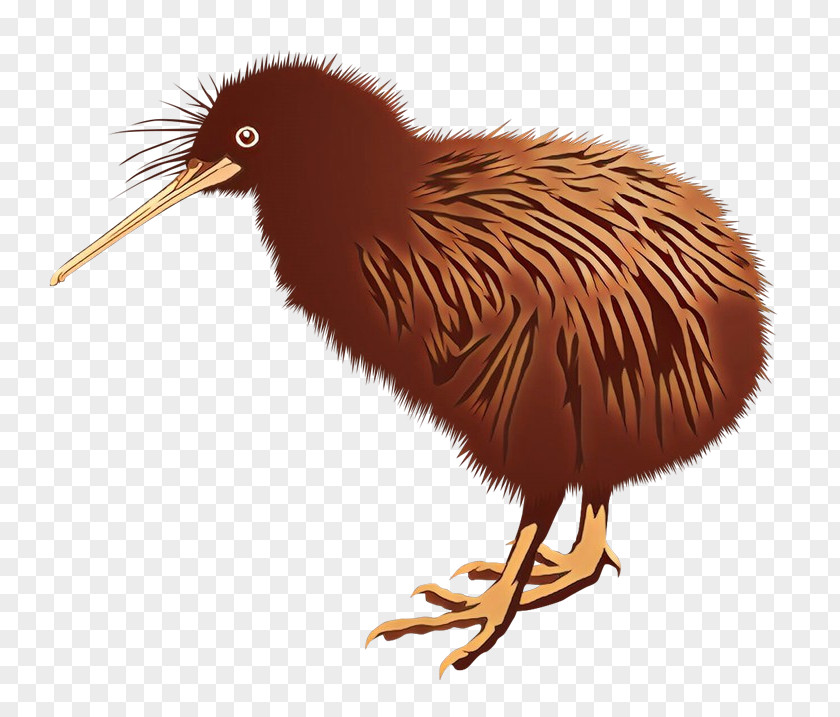 Clip Art Kiwi Openclipart Bird PNG