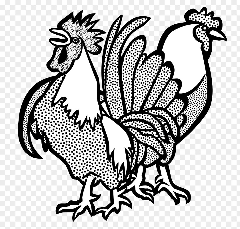 Cock Chicken Rooster Line Art Clip PNG