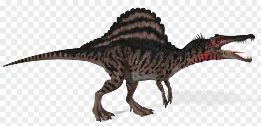 Dinosaur Spinosaurus Tyrannosaurus Giganotosaurus Carnivores: Hunter Size PNG