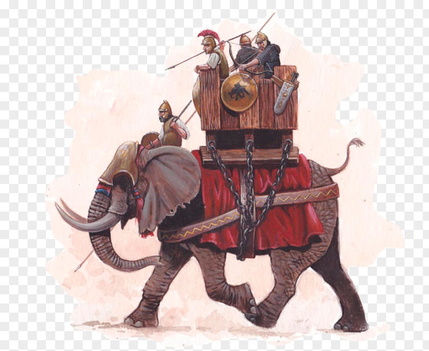Elephant Punic Wars Ancient Carthage Second War PNG