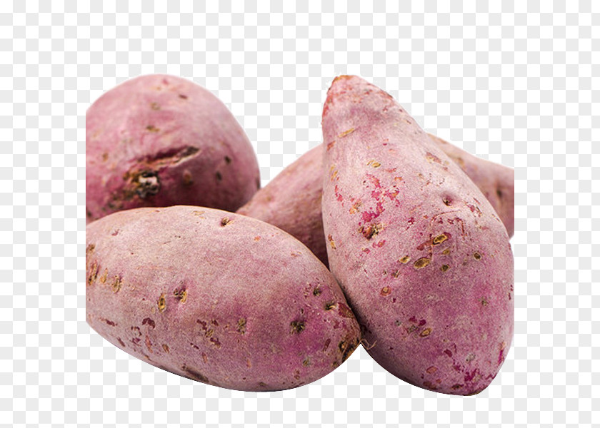 Fresh Sweet Potatoes Potato Vegetable Dioscorea Alata PNG