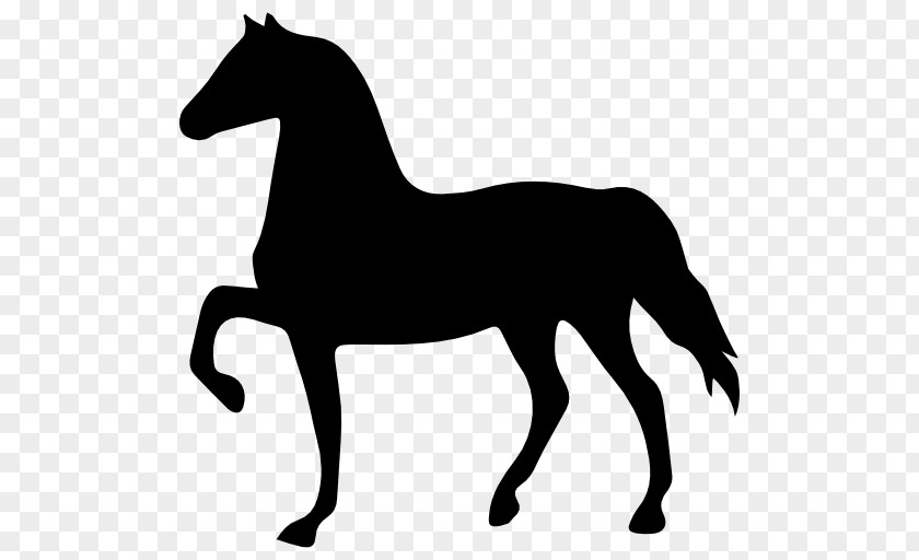 Horse Horseshoe Shape PNG