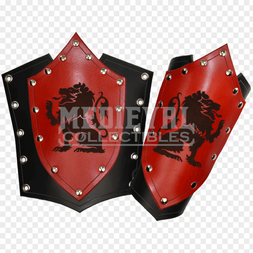 Lion Shield Protective Gear In Sports Font PNG